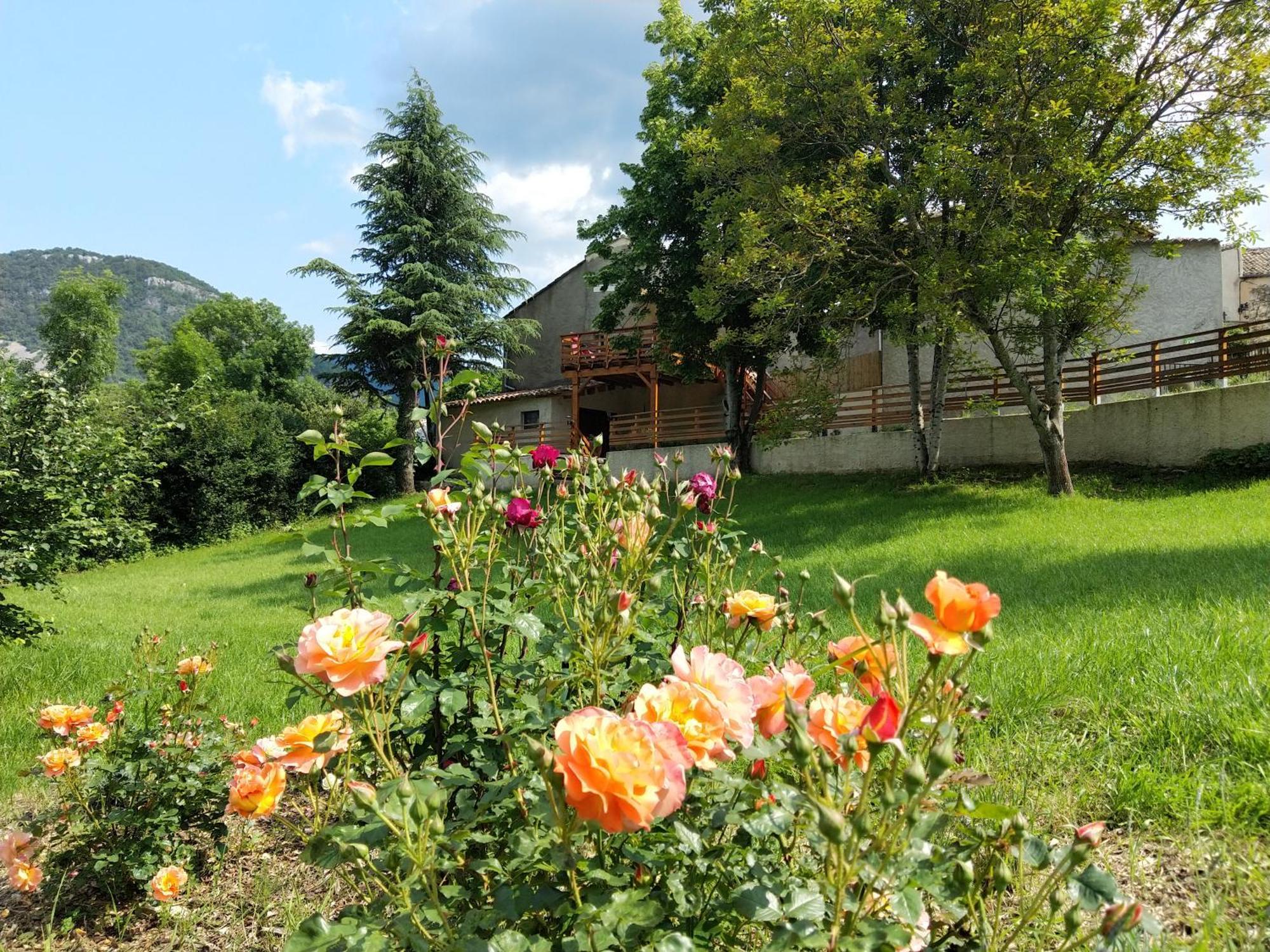 Gite En Haute Provence Montfroc Bagian luar foto