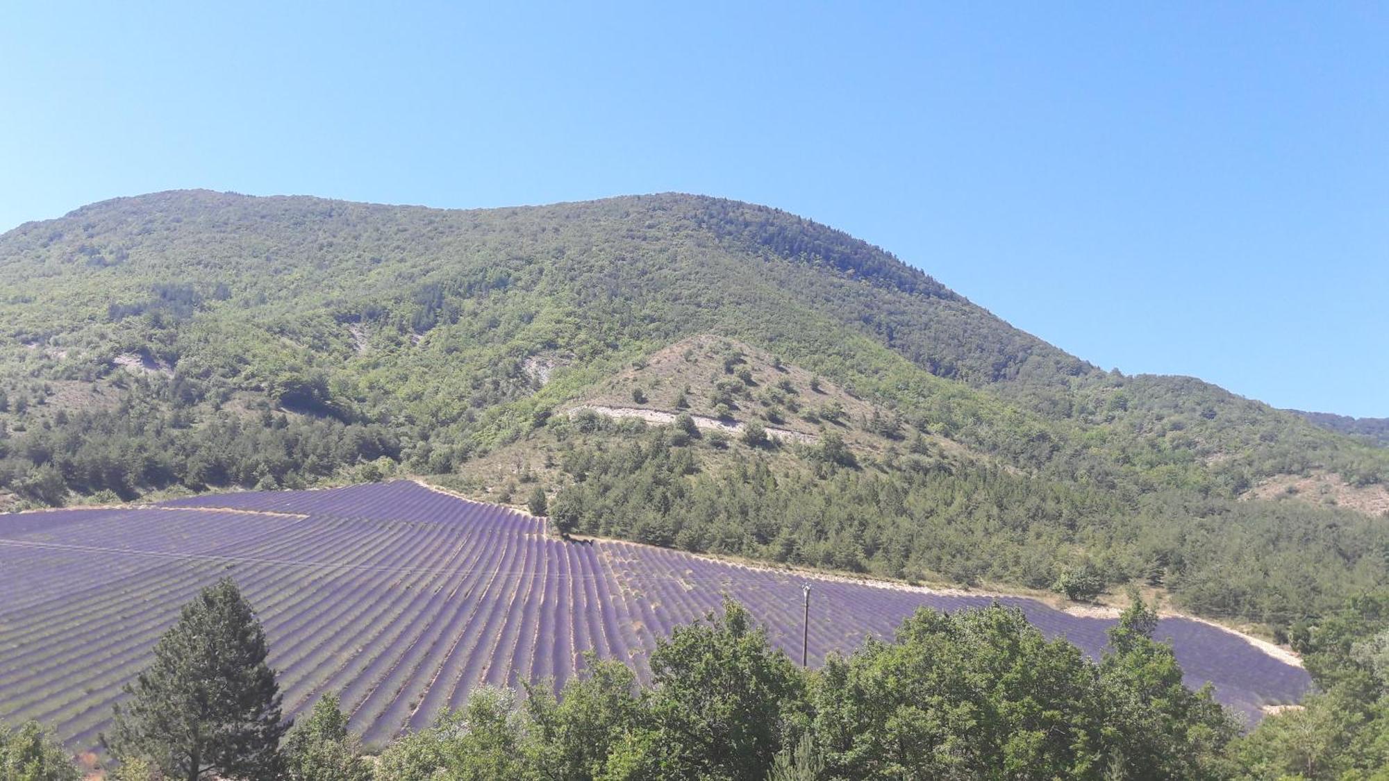 Gite En Haute Provence Montfroc Bagian luar foto